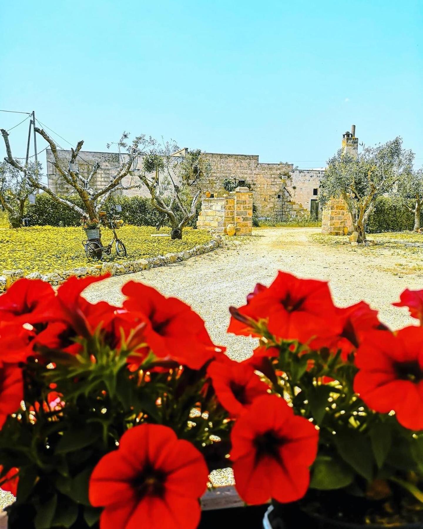 A Lu Fanizza Bed & Breakfast Cutrofiano Exterior photo
